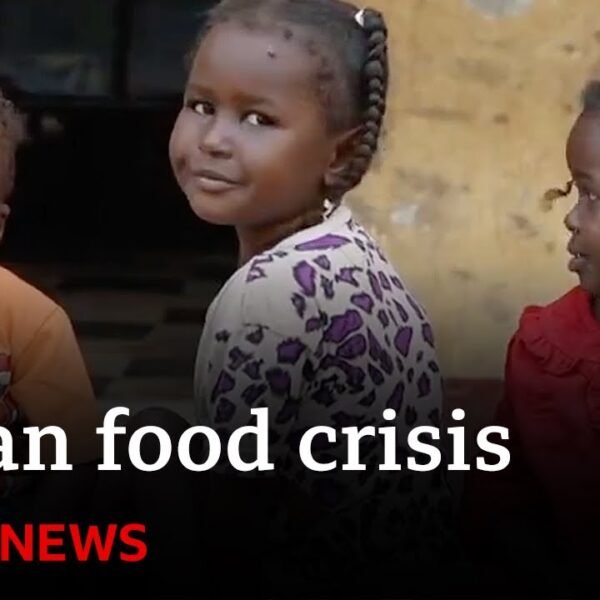 Millions at Risk of Starvation in Sudan Amidst Escalating Conflict and Blocked Aid