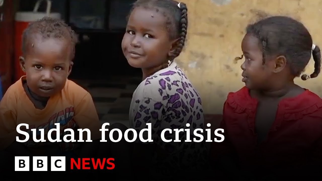 Millions at Risk of Starvation in Sudan Amidst Escalating Conflict and Blocked Aid