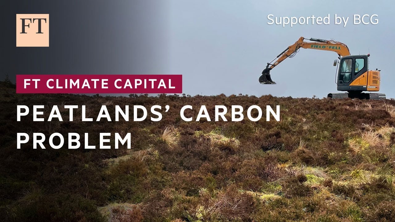 Efforts to Restore Peatlands: A Crucial Step Towards Carbon Sequestration and Climate Resilience