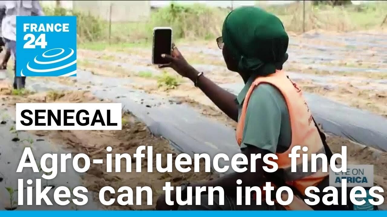 Senegalese Agro-Influencers Leverage Social Media to Boost Sales and Share Farming Knowledge