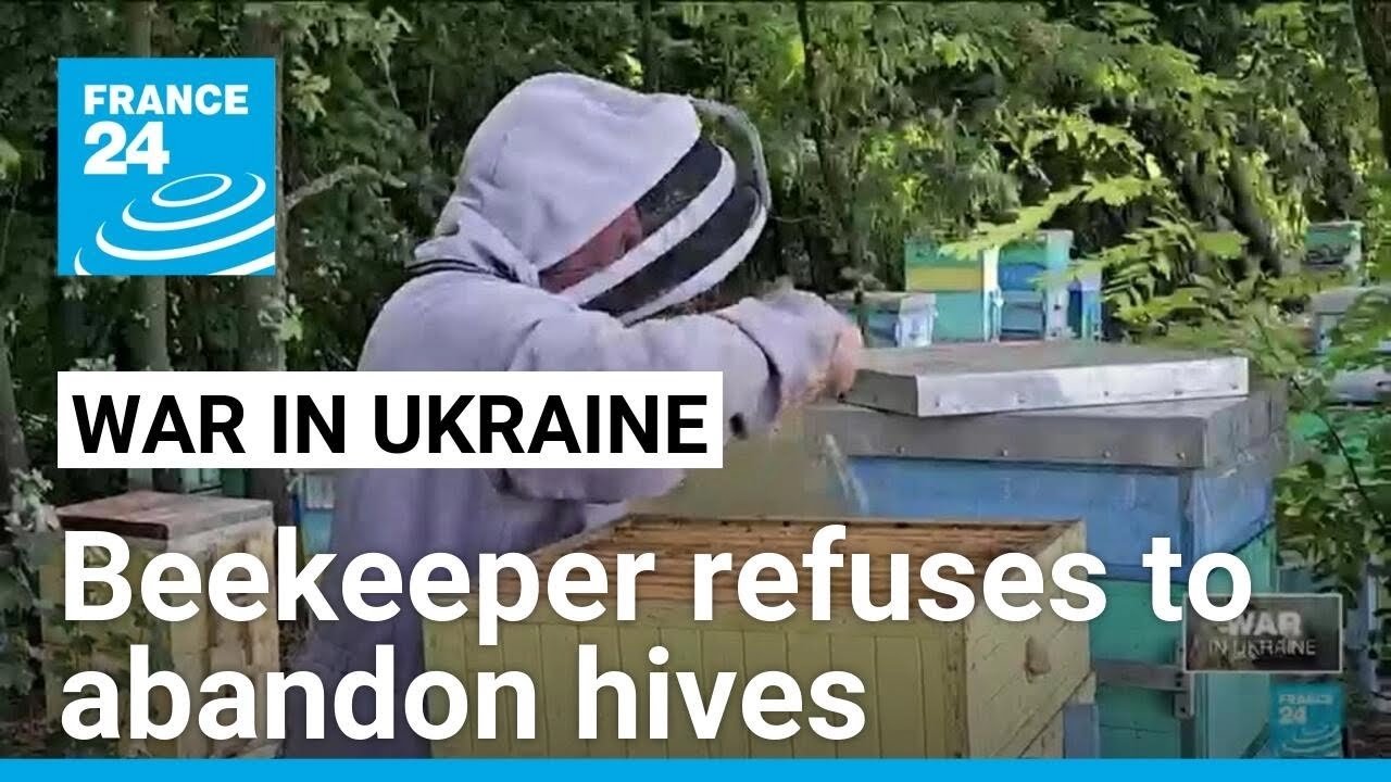 Ukrainian Beekeeper Braves War Zone to Save Hives as Russian Troops Advance