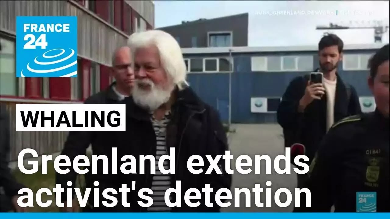 Greenland Court Extends Detention of Anti-Whaling Activist Paul Watson Pending Extradition to Japan