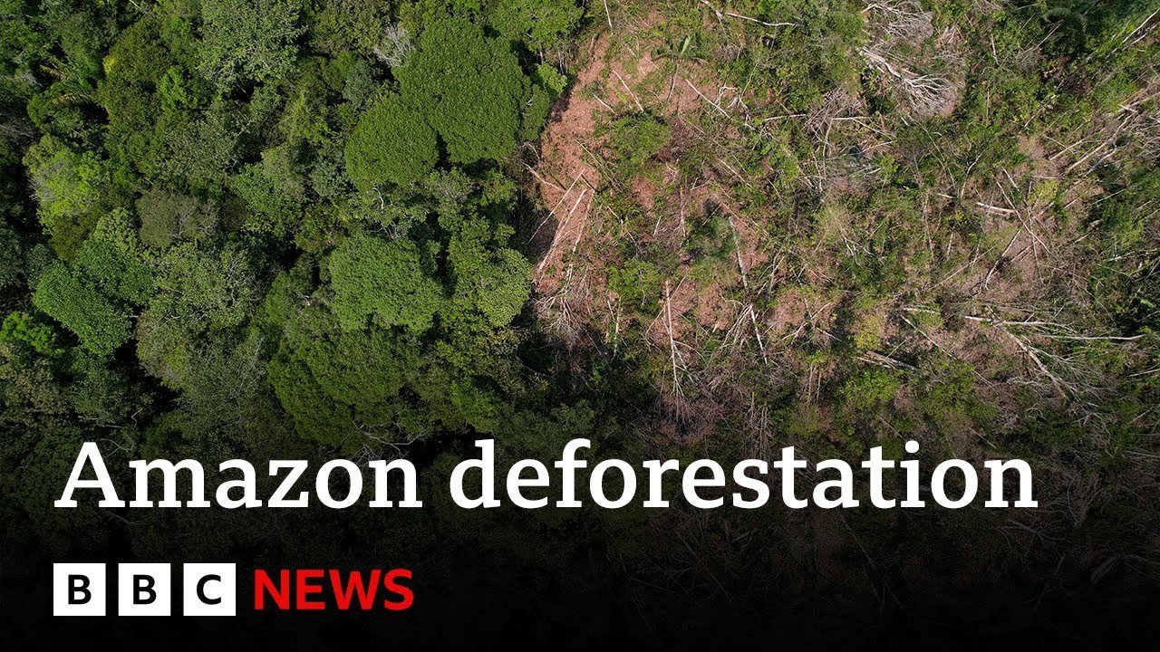 Amazon Rainforest Deforestation Reaches Critical 20% Loss, Reports BBC News