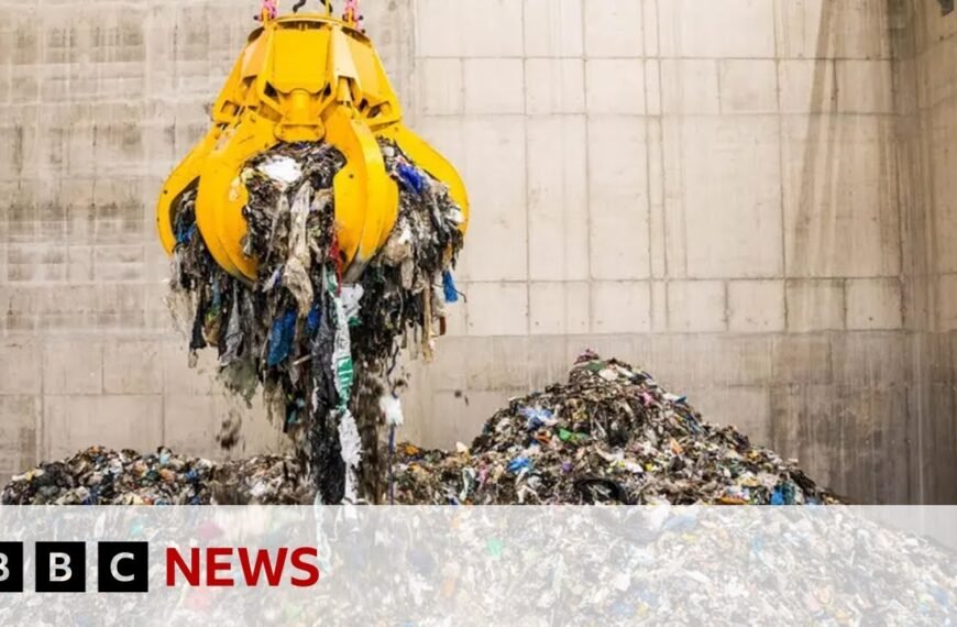 BBC News Explores the Environmental Impact of Waste Incineration