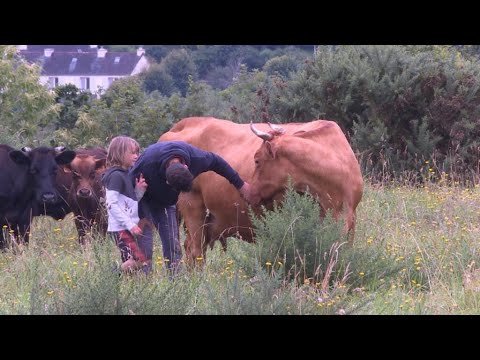 New Generation of French Farmers Faces Challenges Securing Land