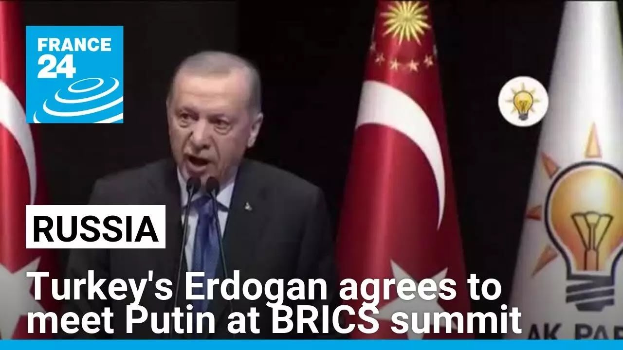 Erdogan Agrees to Meet Putin at BRICS Summit, Reports FRANCE 24 English