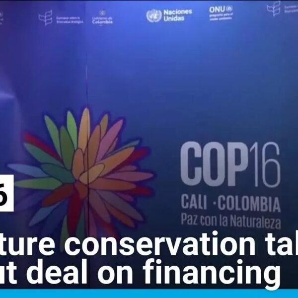 UN Biodiversity Talks Conclude Without Agreement on Financing Mechanisms