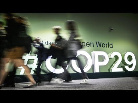 COP29 Nations Approve New Global Carbon Market Rules