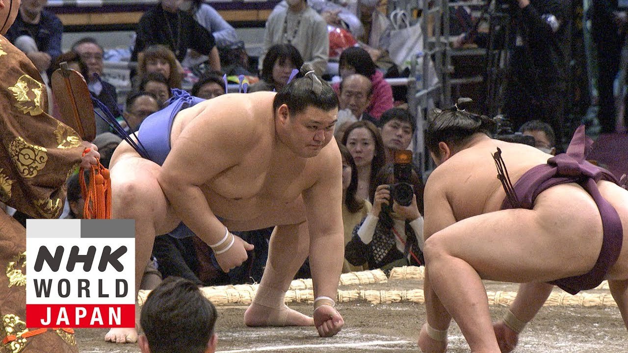 Day 1 Highlights of the November 2024 Grand Sumo Tournament