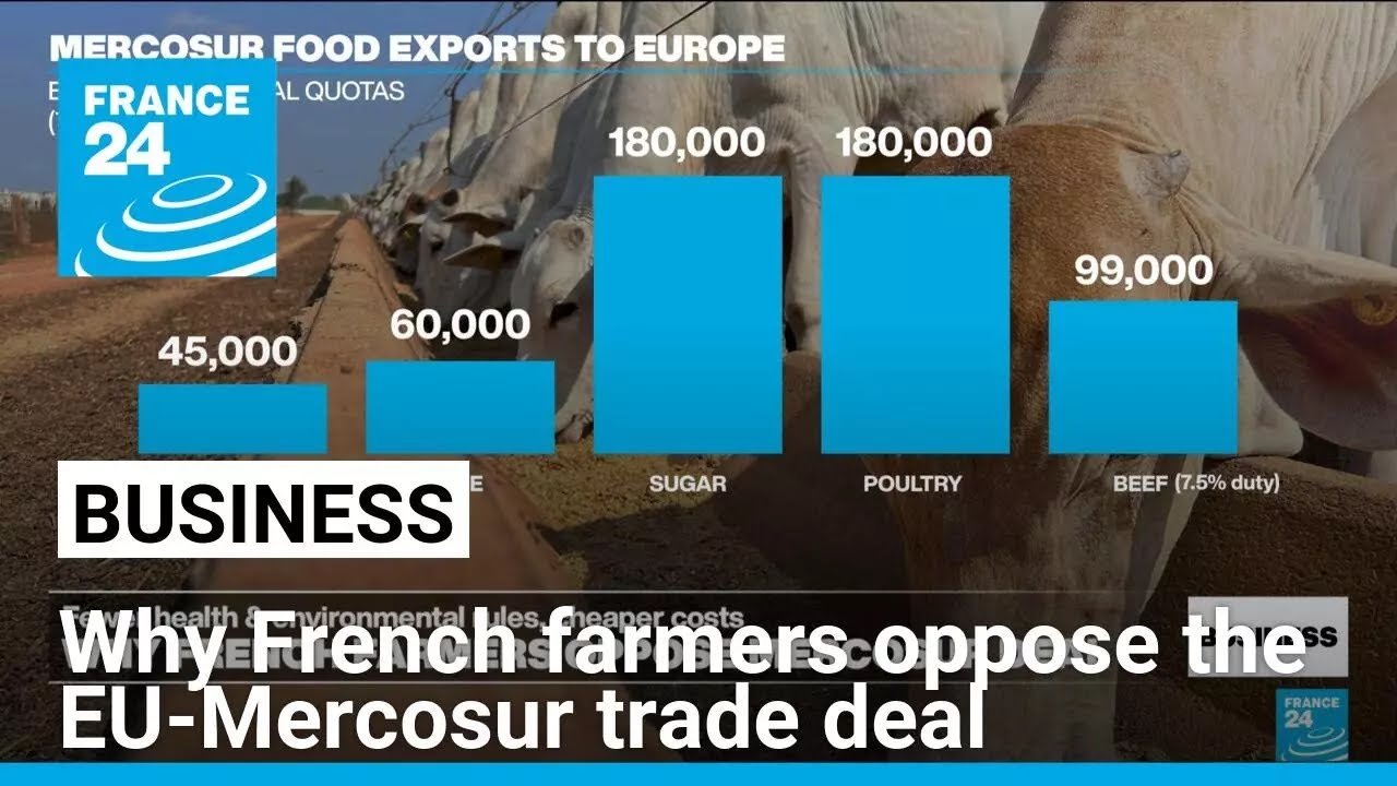 French Farmers Protest Against EU-Mercosur Trade Agreement, Citing Concerns Over Standards and Competition