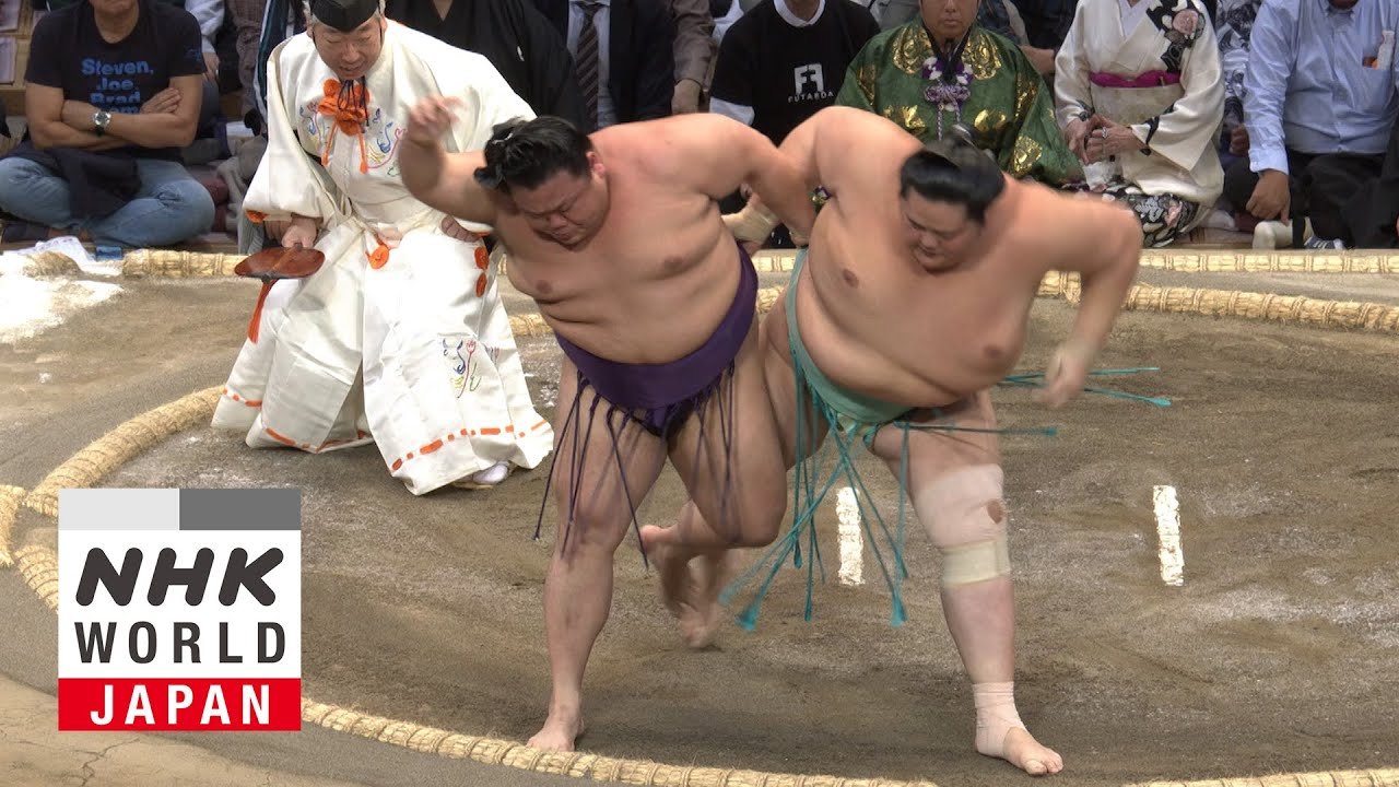 Highlights from Day 8 of the November 2024 Grand Sumo Tournament