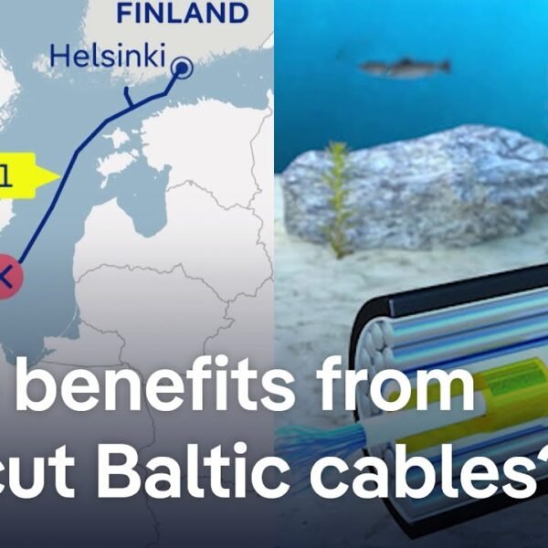 Investigation Focuses on China in Baltic Sea Cable Sabotage Incident: DW News Report