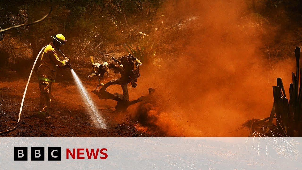 UN’s Top Court to Deliver Verdict on Crucial Climate Change Issues