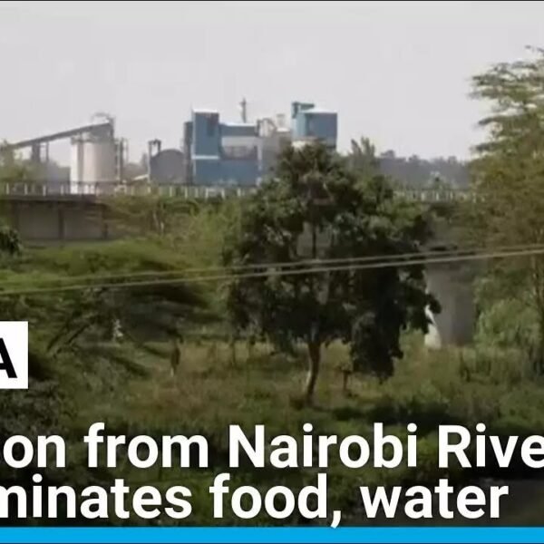 Kenya’s Nairobi River Pollution Poses Threat to Food and Water Supply