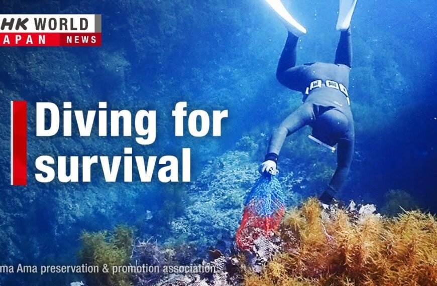 Disaster-Stricken Ama Female Divers Persevere in Japan