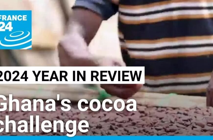 2024 Year in Review: Addressing Ghana’s Cocoa Production Challenges