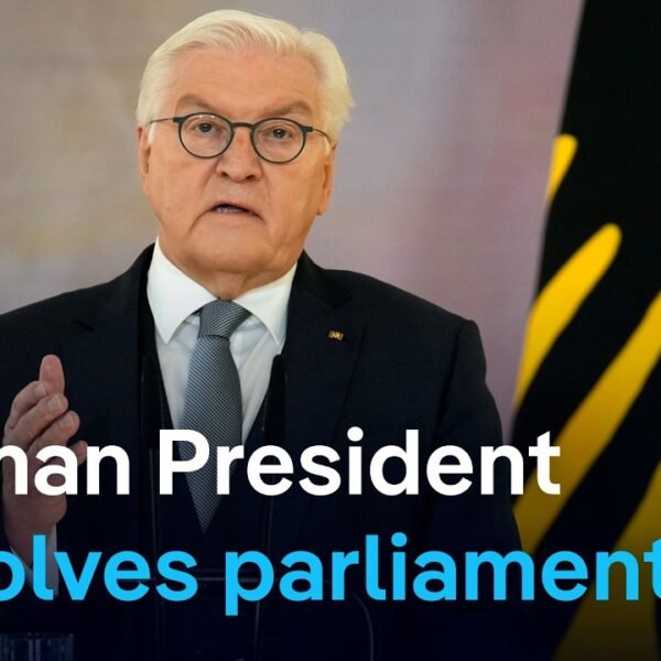 German President Steinmeier Dissolves Parliament, Early Elections Scheduled for 2025