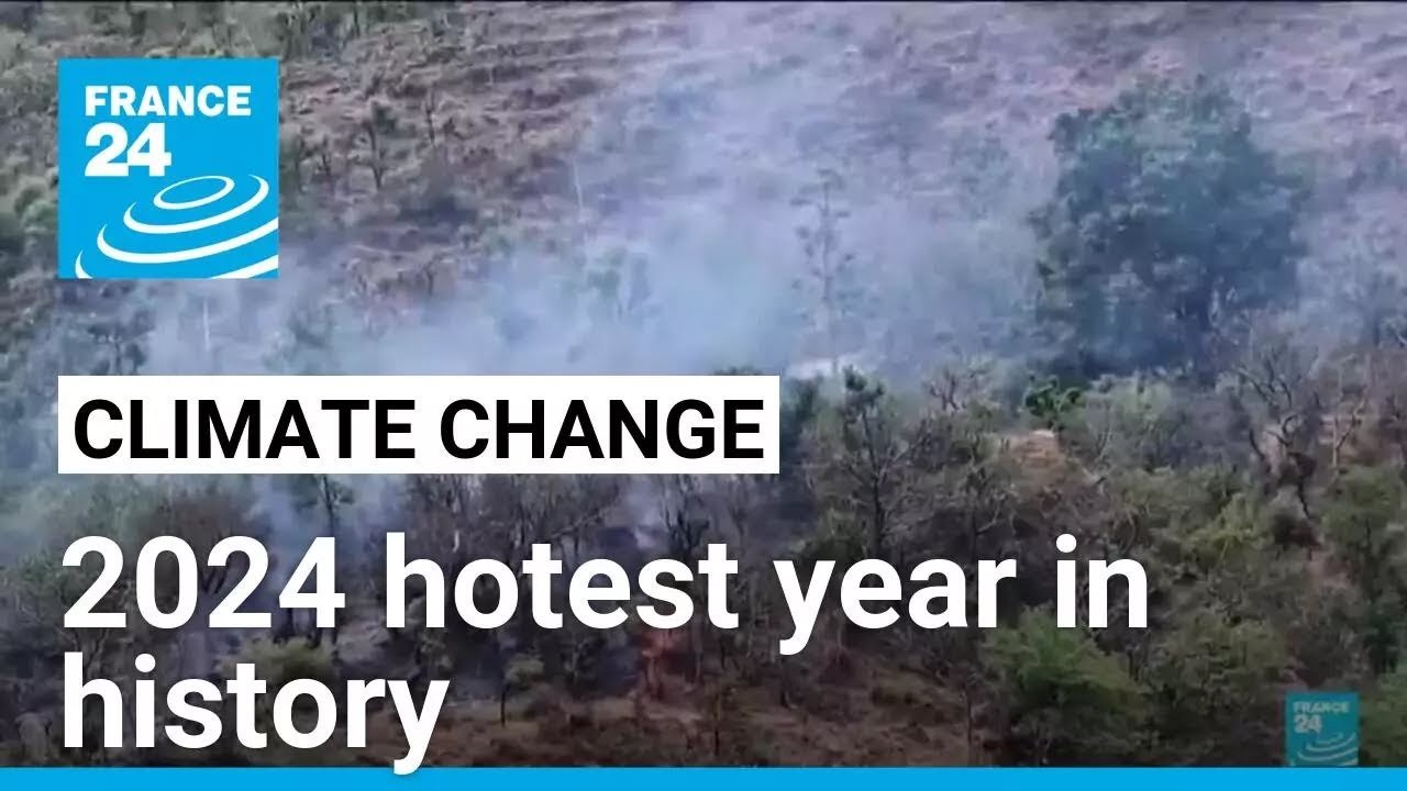 2024 Recorded as Hottest Year in History: Global Climate Disasters Overview