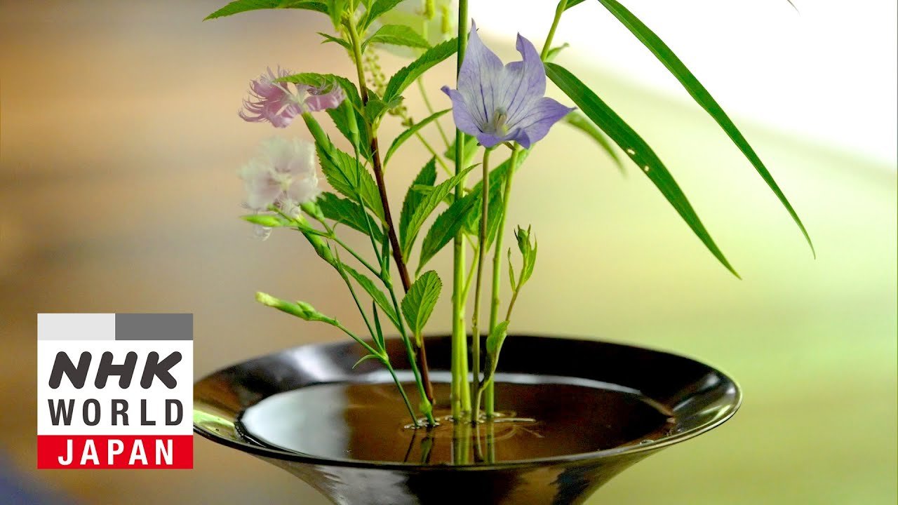 Exploring the Spiritual and Artistic Depths of Ikebana in Contemporary Japan