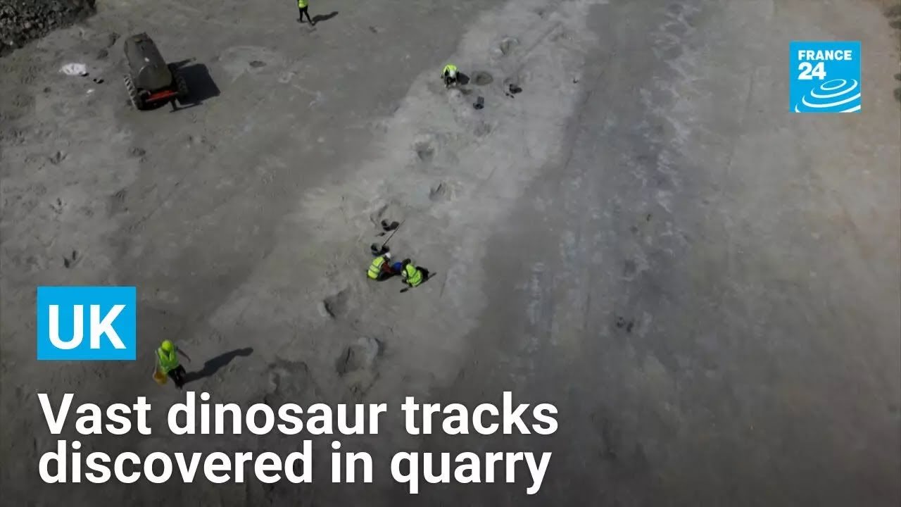 Significant Dinosaur Tracks Found in UK Quarry, Reports FRANCE 24 English