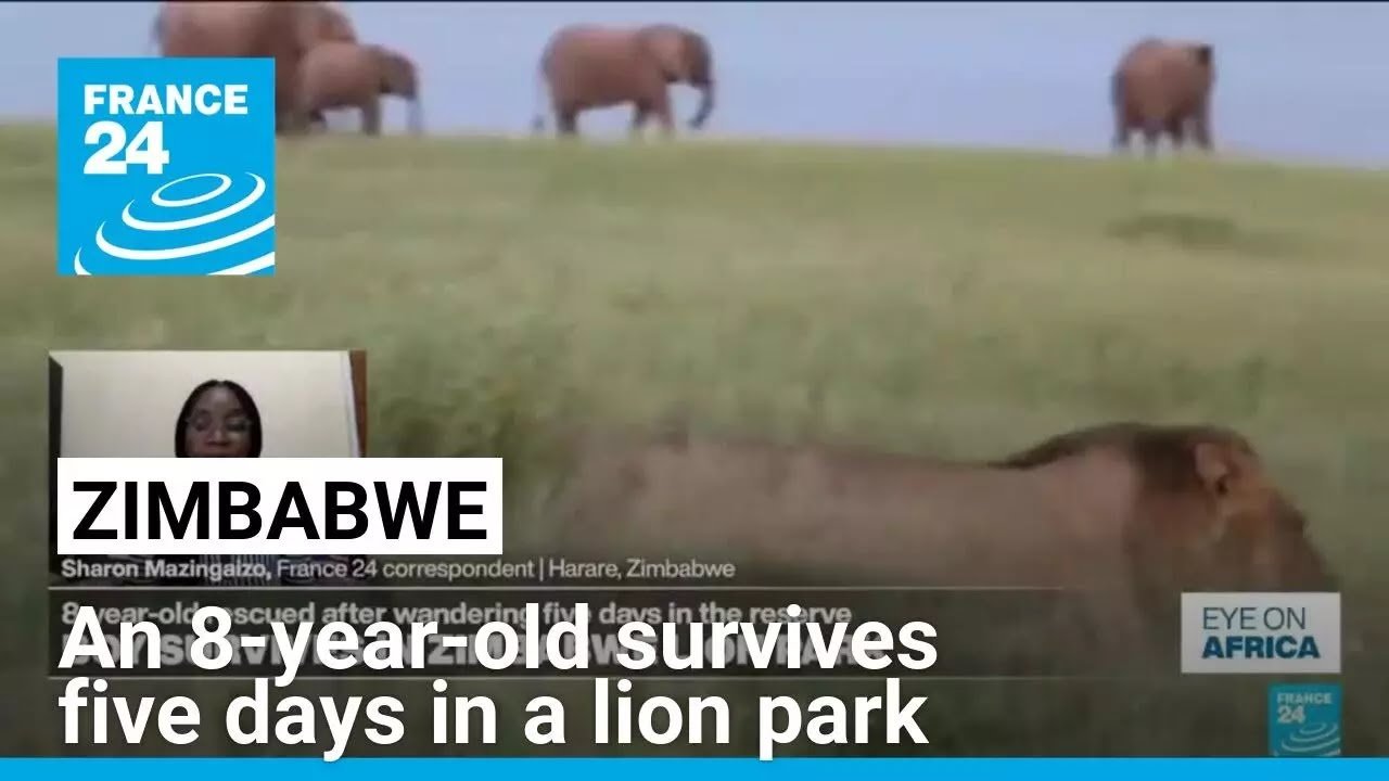 8-Year-Old Child Survives Five Days Alone in Zimbabwe Lion Park