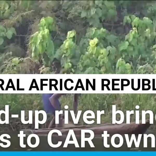 Climate Crisis Hits CAR Town as River Dries Up