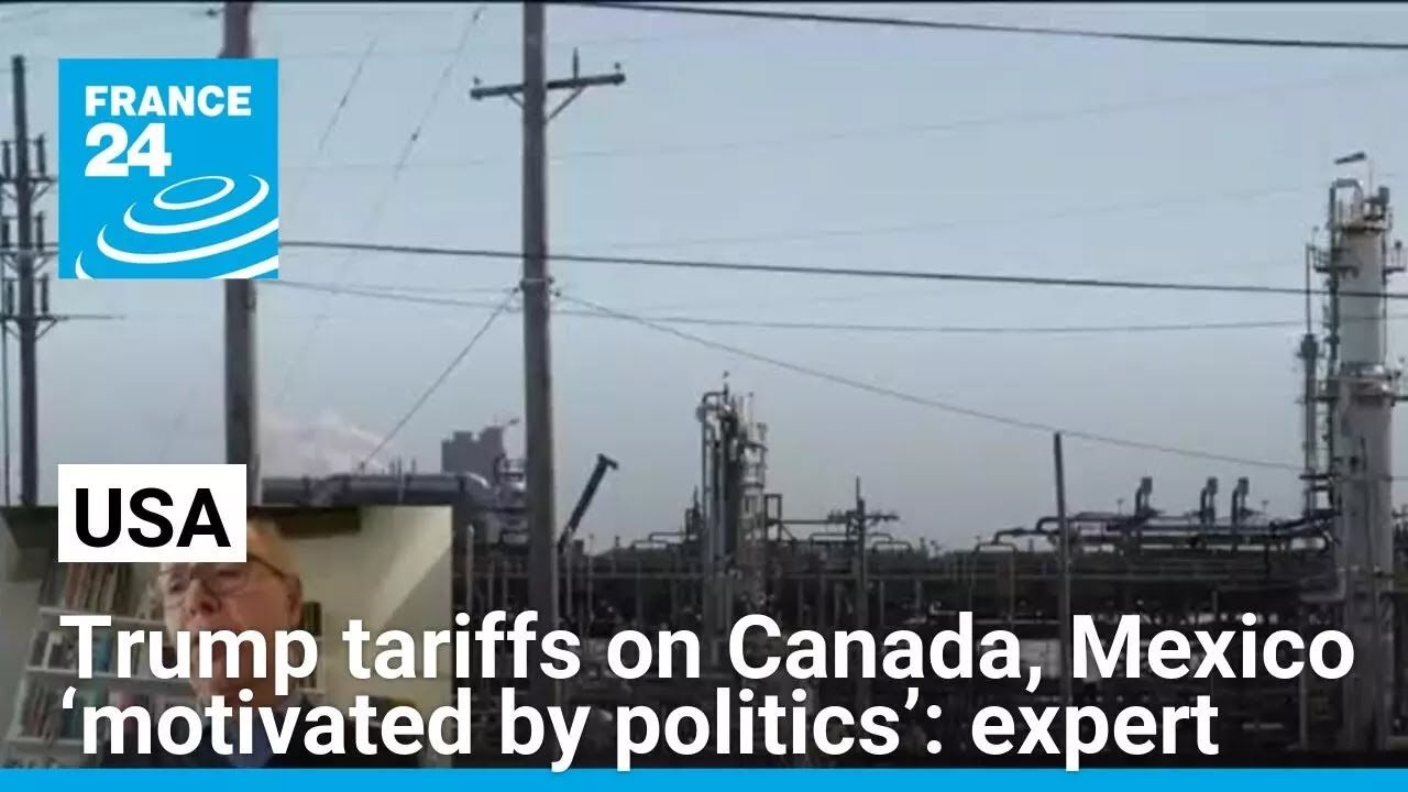 Expert Claims Trump’s Tariffs on Canada, Mexico Politically Motivated, Says FRANCE 24