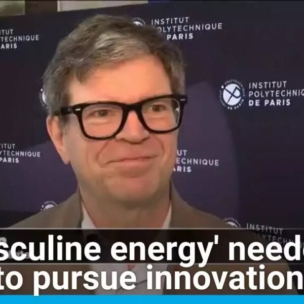 Exploring the Role of ‘Masculine Energy’ in AI Innovation: Insights from FRANCE 24 English