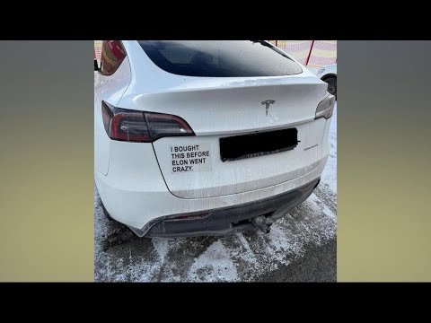 Tesla’s European Sales Decline, Influenced by Elon Musk, Reports FRANCE 24 English