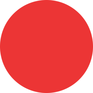 AllNewsChannels Logo